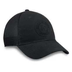 Men's Kansas City Royals Fanatics Branded Black Team Haze Trucker Snapback Hat -BaseballCap Hub Store mens fanatics branded black kansas city royals team haze trucker snapback hat pi4498000 altimages ff 4498994 3b70b4bff4b1b7337c91alt3 full