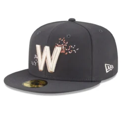 Men's Washington Nationals New Era Graphite 2022 City Connect 59FIFTY Fitted Hat -BaseballCap Hub Store mens new era graphite washington nationals 2022 city connect 59fifty fitted hat pi4464000 altimages ff 4464368 0f37938ce5aba52dc649alt3 full