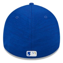 Men's Kansas City Royals New Era Royal 2023 Clubhouse 39THIRTY Flex Hat -BaseballCap Hub Store mens new era royal kansas city royals 2023 clubhouse 39thirty flex hat ss5 p 4990013pv 4u bz2nej7lkftqmbrjuji5v d5tinw87xrp3tl6krrs2
