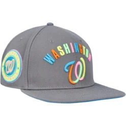 Men's Washington Nationals Pro Standard Gray Washed Neon Snapback Hat