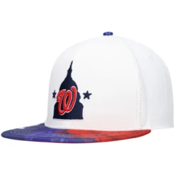 Men's Washington Nationals Pro Standard White Dip-Dye Snapback Hat